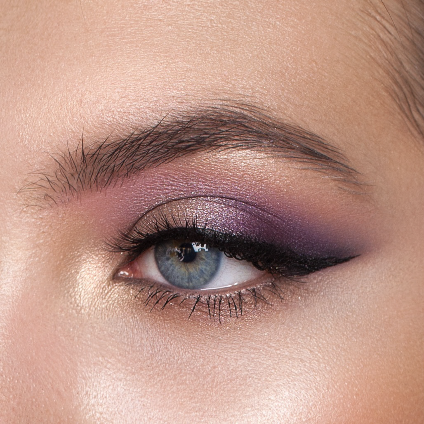 Ambitious Violet Palette